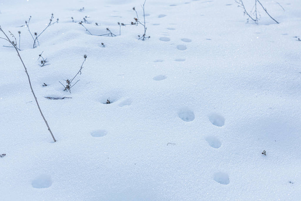 White deep snow cover background - Valokuva, kuva