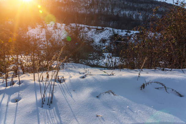 White deep snow in mountain forest - Foto, imagen