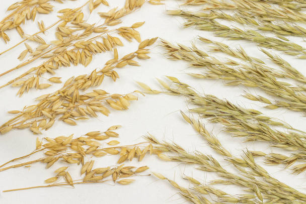 Spikelets of oats. Dietary fiber - Foto, Imagem