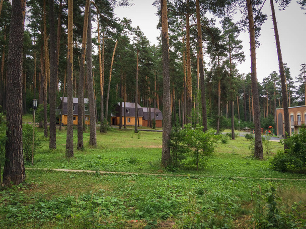 chelyabinsk, Rusia 06 06 2019: Casas de madera para vacaciones estudiantiles de verano. Estudiantes campamento de verano en la naturaleza de Rusia
. - Foto, imagen