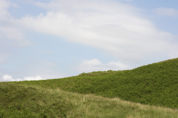 Grassy hillside - Foto, afbeelding