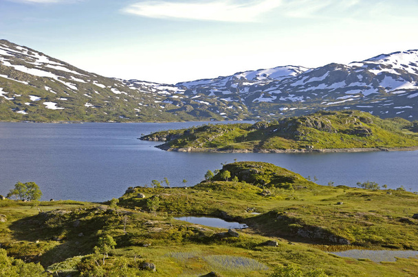 in the highlands of haukelifjell between roldal and vinje on the e134 in norway. - Fotoğraf, Görsel