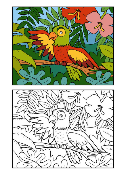 Libro para colorear para niños, Loro en la selva tropical
 - Vector, Imagen