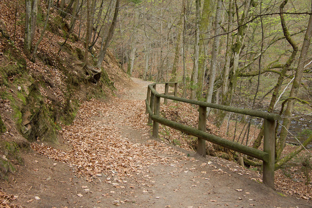 fortified hiking path in a forest in styria - Fotó, kép