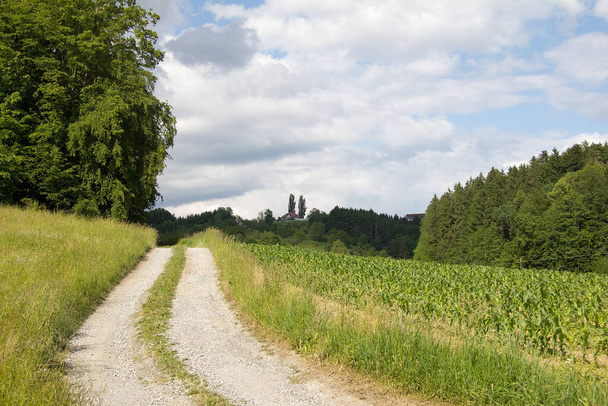 gravel road between meadows and woods under cloudy sky in styria - Foto, Imagem