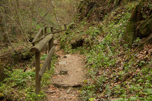 укрепленная пешеходная тропа в лесу в Тырныаузе - Фото, изображение