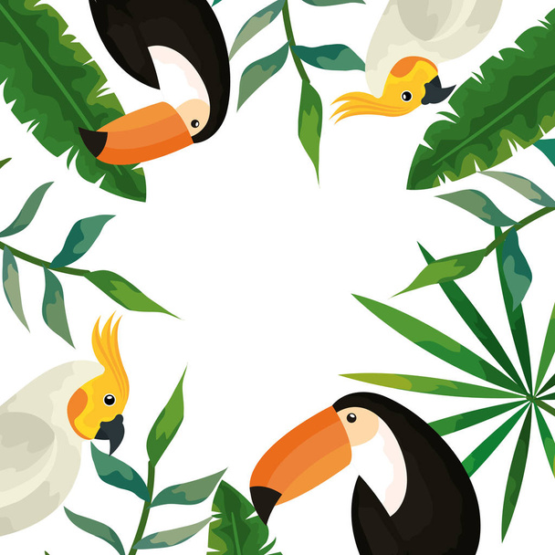 pappagalli e tucani in cornice con foglie tropicali
 - Vettoriali, immagini