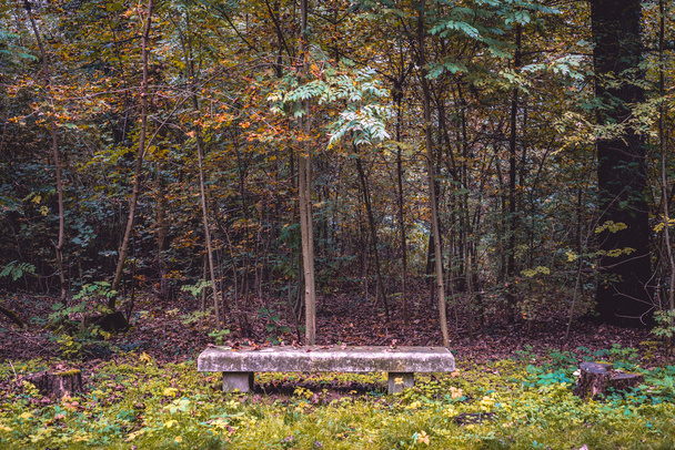paysage de parc d'automne - Photo, image