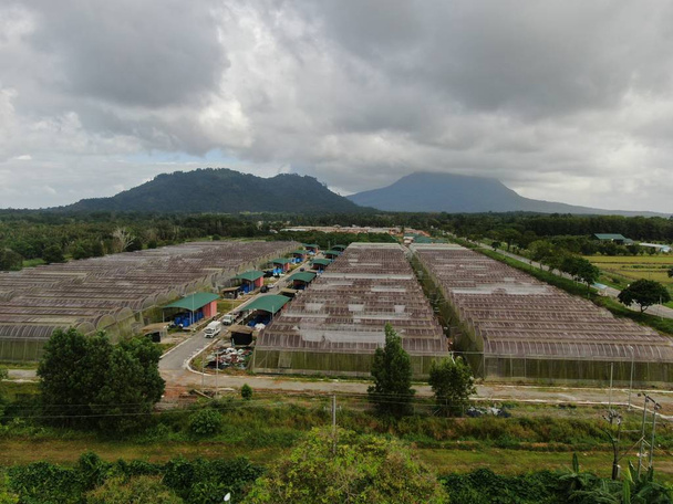 Kuching, Sarawak / Malaisie - 1er février 2020 : Vue aérienne d'une ferme de pêche et de crevettes en Malaisie
 - Photo, image