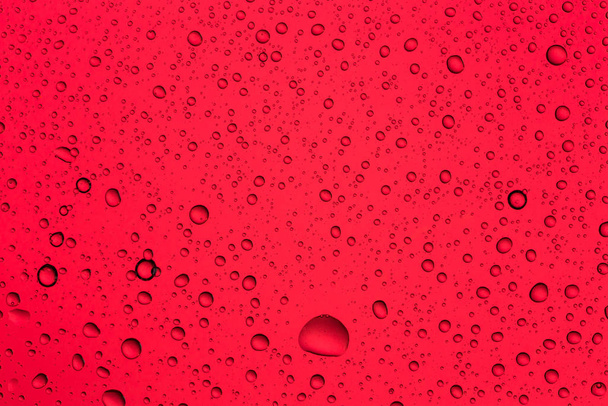 Water raindrops nano effect on a red background - Photo, Image