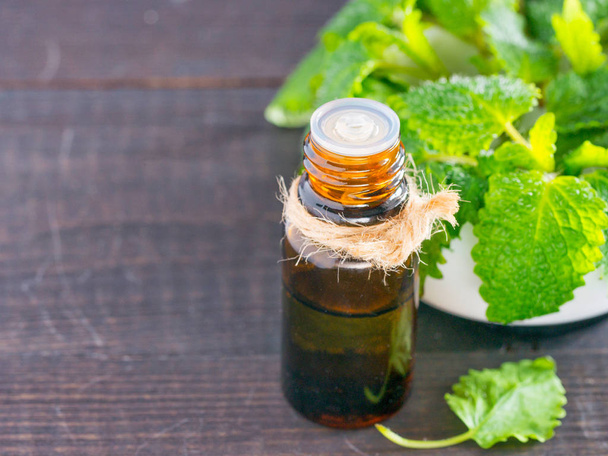 Essential oil of melissa or mint in small brown bottle with fresh green leaves on dark wooden background. Close up - Foto, Imagem
