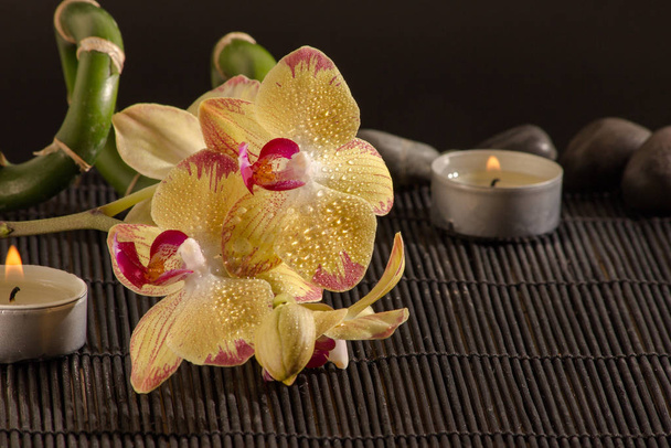 yellow orchid with a root on bamboo mat - Fotografie, Obrázek