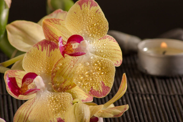 yellow orchid with a root on bamboo mat - Photo, Image