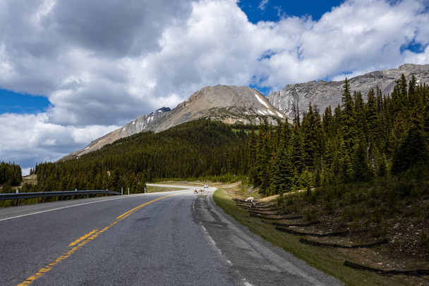 Krajina Skalistých hor v Kanadě - Fotografie, Obrázek