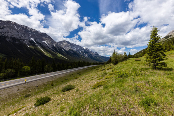 Ландшафт Скелястих гір у Канаді - Фото, зображення