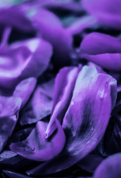 Fondo abstracto de arte floral de vacaciones, flor púrpura p
 - Foto, imagen