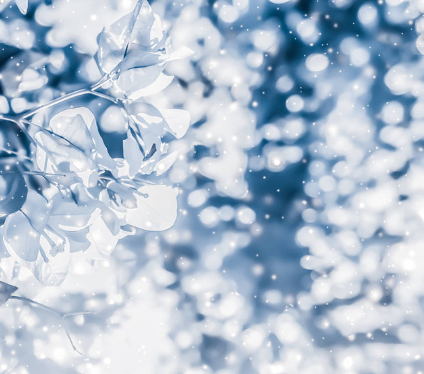 Χριστούγεννα, Πρωτοχρονιά μπλε floral φύση φόντο, κάρτα διακοπών - Φωτογραφία, εικόνα