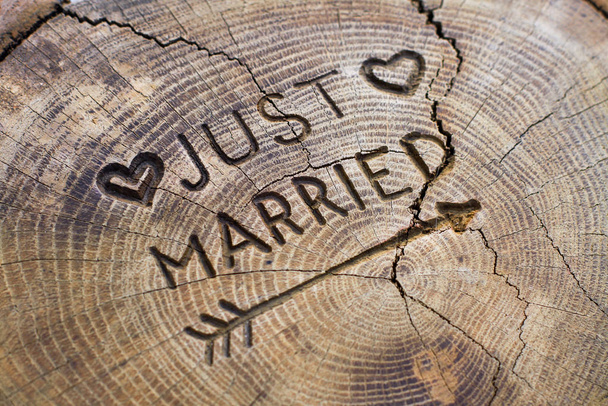 Nemrég házasodtunk. Egy felirat egy kivágott fán esküvői dísznek. Kézzel készített dekorációs tábla tölgyfán. Fénykép a meghívó design. - Fotó, kép