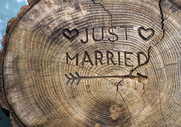 Just married. An inscription on a cut of a tree for a wedding decoration. Handmade decorative board on oak. Photo for your invitation design. - Photo, Image