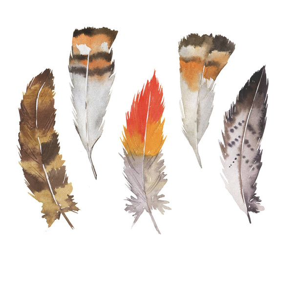 Set of decorative brown and orange feathers isolated on white background. Hand drawn watercolor illustration. - Fotoğraf, Görsel