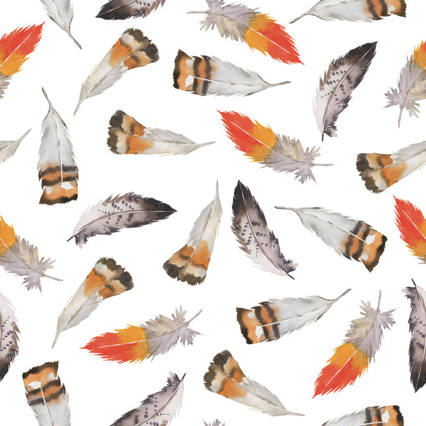 Seamless pattern with wild brown and orange bird feathers on white background. Hand drawn watercolor illustration. - Foto, afbeelding