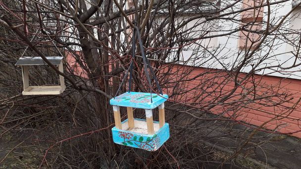 Alimentadores de aves artesanais pendurados em galhos de árvores
 - Foto, Imagem