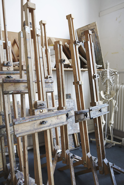 Easels and skeleton in artist's studio - 写真・画像