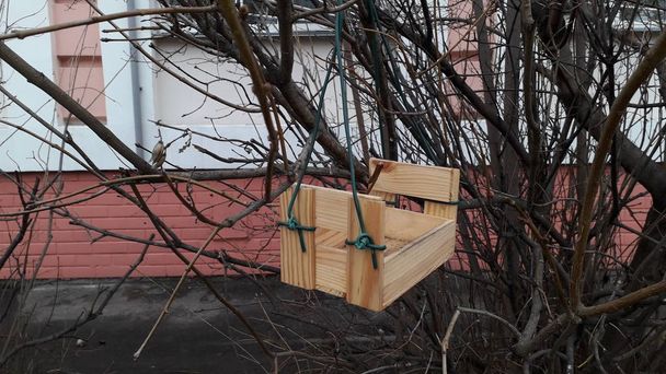 Alimentadores de aves hechos a mano colgando de ramas de árboles
 - Foto, Imagen