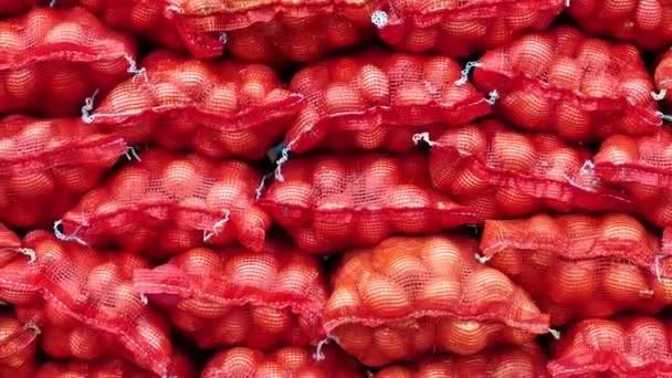 ξερά κρεμμύδια σε κόκκινο δίχτυ, - Πλάνα, βίντεο
