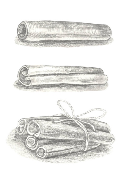 Hand drawn cinnamon illustration isolated on white background. - Фото, изображение