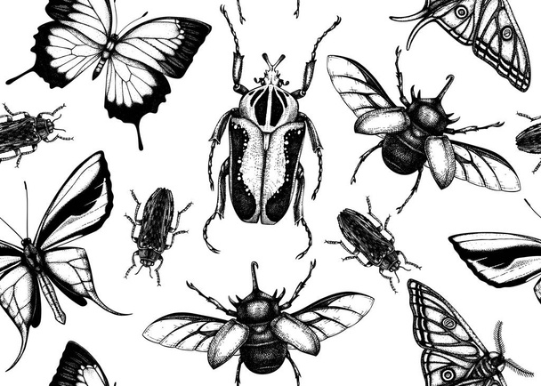 Tropical insects seamless pattern. Vector backdrop with hand dra - ベクター画像