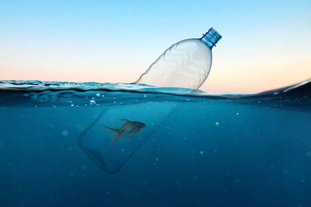 Botella de plástico con peces, contaminación en el océano. Concepto de desesperanza. Contaminación ambiental
  - Foto, imagen