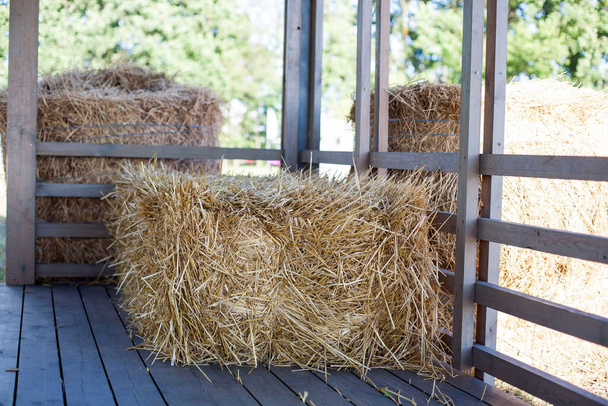 Eco clear hay bale. Agriculture field Wheat yellow golden harvest in summer - Φωτογραφία, εικόνα