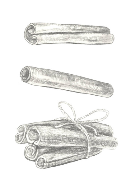 Hand drawn cinnamon illustration isolated on white background. - Φωτογραφία, εικόνα