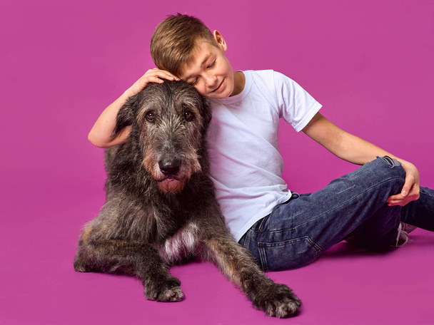 Smiling cheerful eleven years teen in white t-shirt and jeans with grey and white Irish Wolfhounds on fuchsia color background in photo studio - Photo, Image