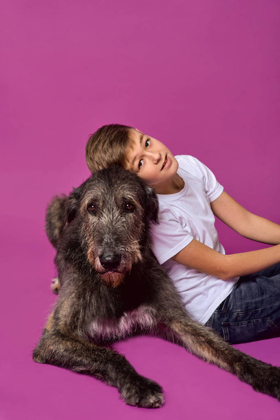 Smiling cheerful eleven years teen in white t-shirt and jeans with brown big dog on fuchsia color background in photo studio. Pets, friendship concept - Photo, Image
