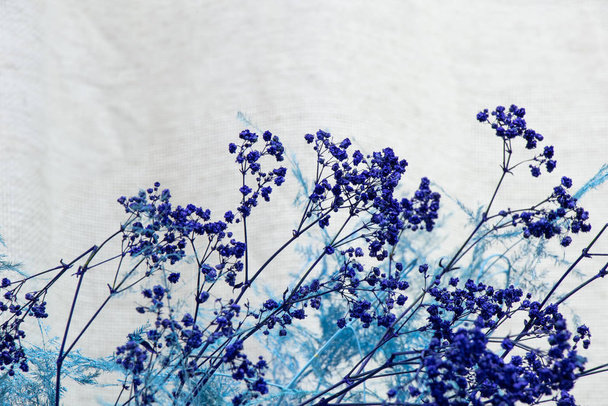 niebieski suche kwiaty dekoracyjne zbliżenie - Zdjęcie, obraz
