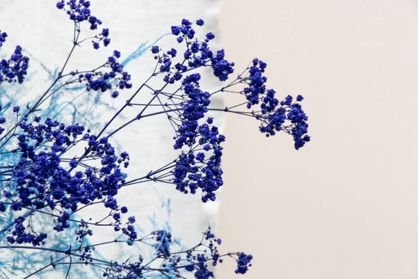 blaue trockene dekorative Blumen aus nächster Nähe - Foto, Bild