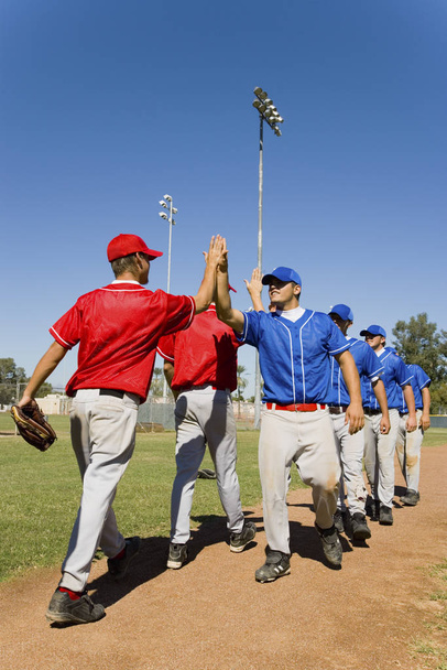 Baseball players giving high-five to each other after match - 写真・画像
