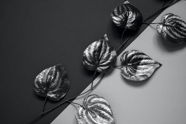 botanical monochrome black background with ivy leaves - Photo, Image