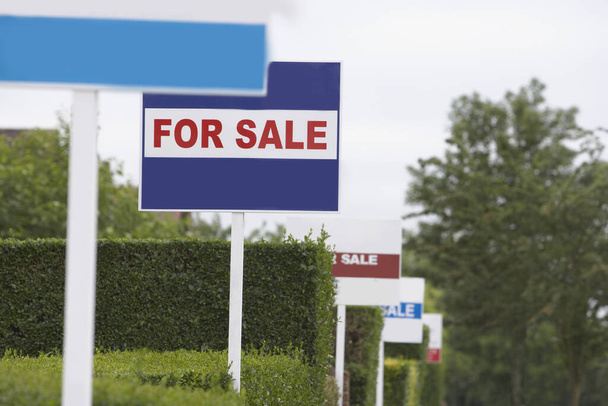 Real estate for sale signs in a row by hedges - Φωτογραφία, εικόνα