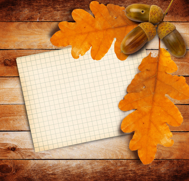 Old grunge paper with autumn oak leaves and acorns - Foto, afbeelding