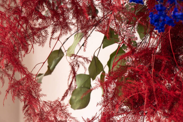 flores decorativas secas rojas primer plano
 - Foto, Imagen