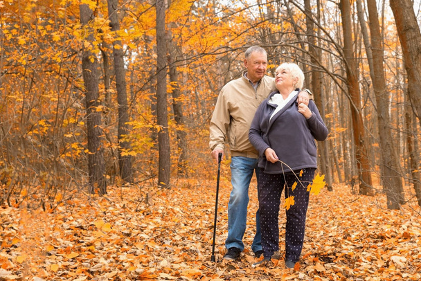 Szczęśliwa para starców spacerujących w jesiennym parku - Zdjęcie, obraz