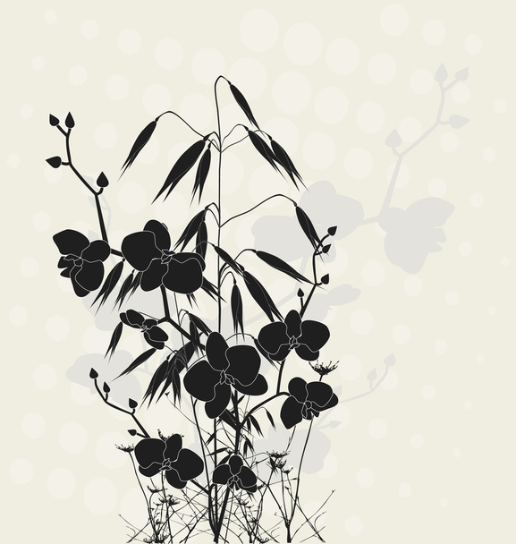 Diseño floral con avena y orquídeas
 - Vector, imagen