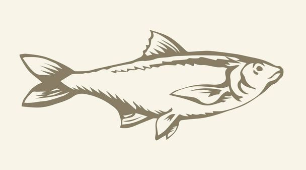 Big sea fish. Vector drawing - Vector, Image