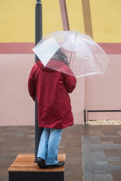 πορτρέτο της στην πίσω όψη της γυναίκας με διάφανη ομπρέλα  - Φωτογραφία, εικόνα