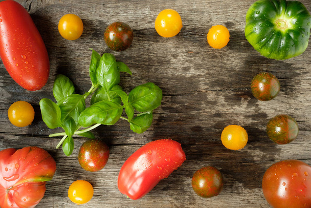 basil with different kinds of tomatoes with water drops - Fotoğraf, Görsel