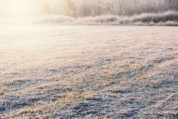 Winter morning landscape - Φωτογραφία, εικόνα
