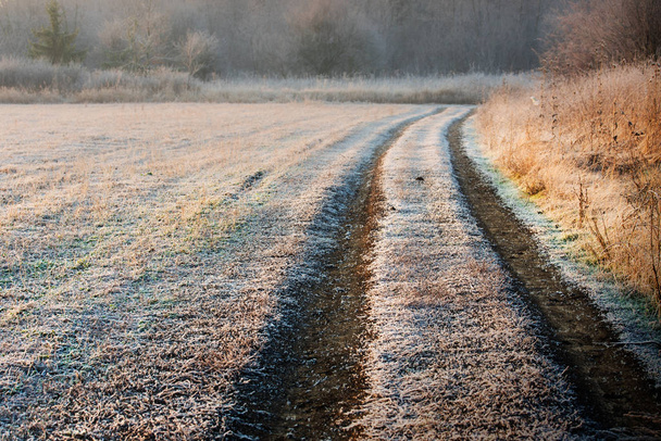 Winter morning landscape - Φωτογραφία, εικόνα